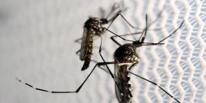 Epidemia de Dengue: Desafios e Soluções - Planos de Saúde PJ